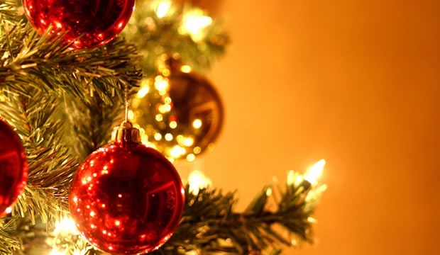 FIANCEE-BODAS-DIC-2013-HOGAR-PINO-NAVIDAD-03