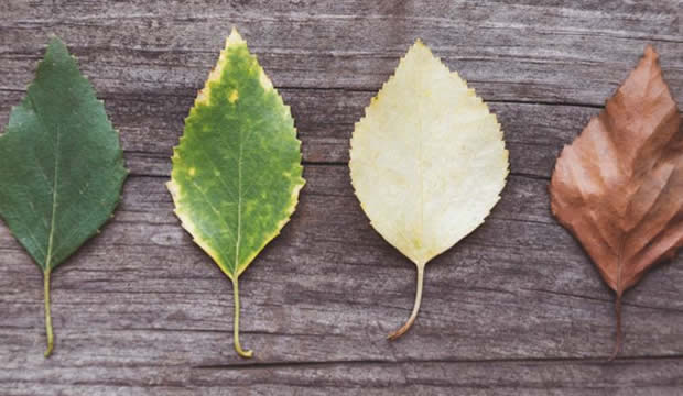 Cómo proteger tu piel del cambio de clima