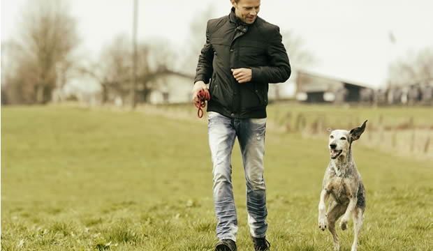 Cómo comenzar a entrenar a tu cachorro