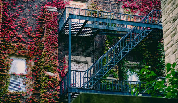 Paisajismo en interiores o cómo crear un espacio verde en tu casa u oficina