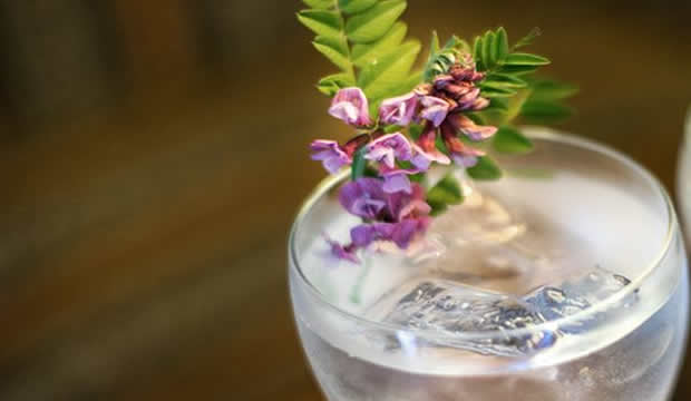 Con esta ginebra artesanal podrás crear sorprendentes cocteles con flores de temporada