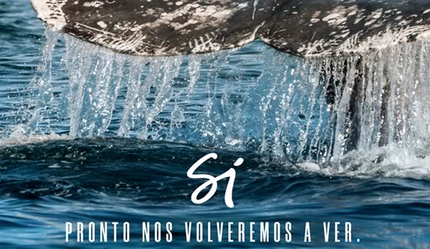 Los Cabos está listo para reactivar el turismo
