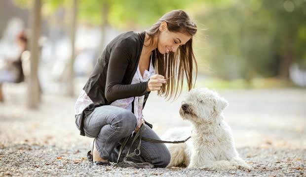 Estimula el sentido del olfato de tu perro a la hora de comer