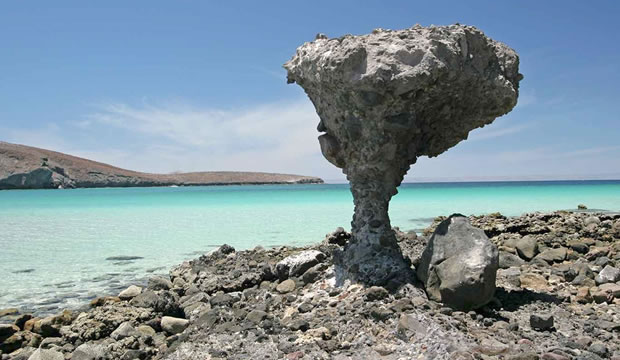 Las playas de La Paz listas para recibir visitantes