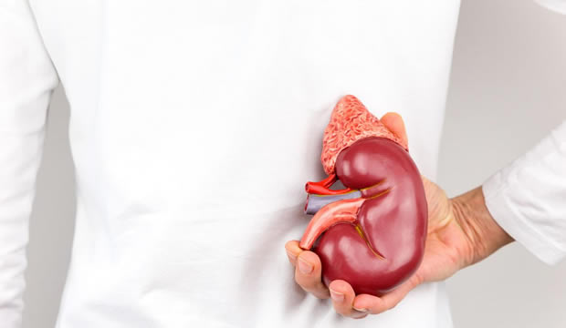 Trasplante renal, una esperanza real de vida