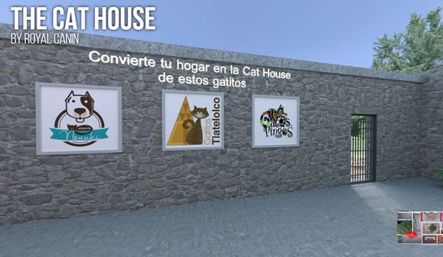 Conoce el increíble mundo de los gatos a través de “The Cat House” de Royal Canin