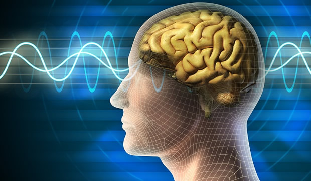 Impulso cerebral, avance médico de vanguardia para la rehabilitación del Accidente Cerebrovascular