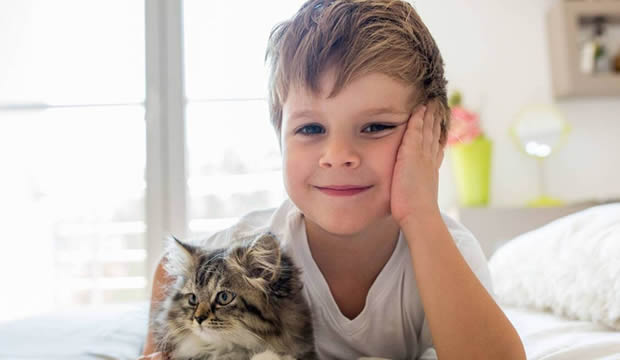 Cómo debe de ser la relación entre niños y gatos