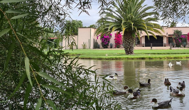 Cásate en San Miguel de Allende y descubre la magia de la Ex-Hacienda Real de Corralejo en tu Gran Día