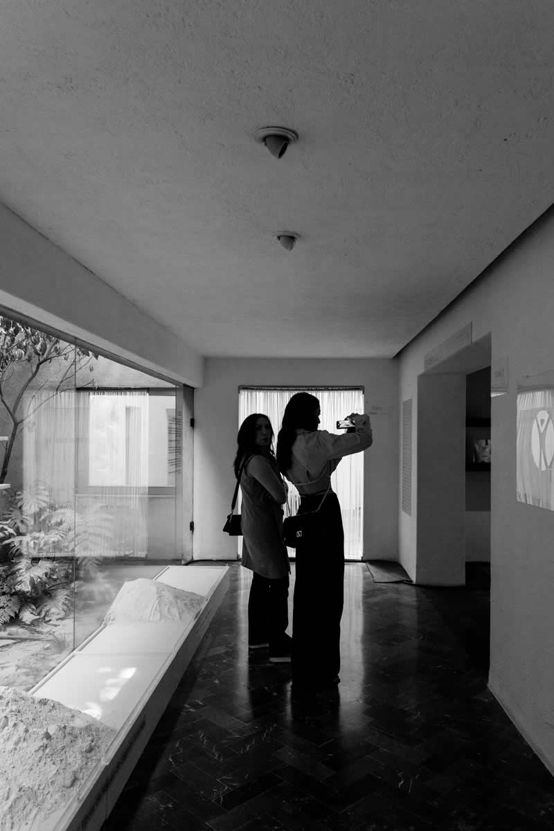 Sesén Company y Farmacia San Pablo presentaron el museo del colágeno en CDMX