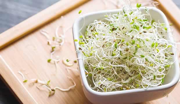 Brotes y germinados, grandes aliados para una digestión de diez