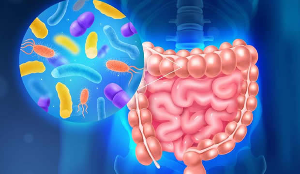 Diciembre sin remordimientos: cómo cuidar tu salud intestinal en estas fiestas