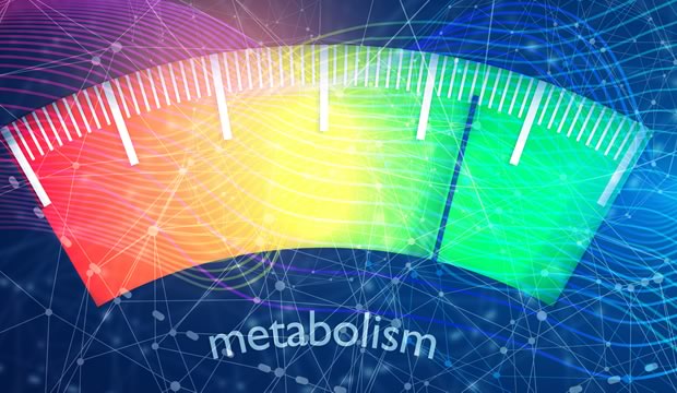Ocho formas de acelerar tu metabolismo