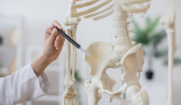 Descubre los signos de la osteoporosis