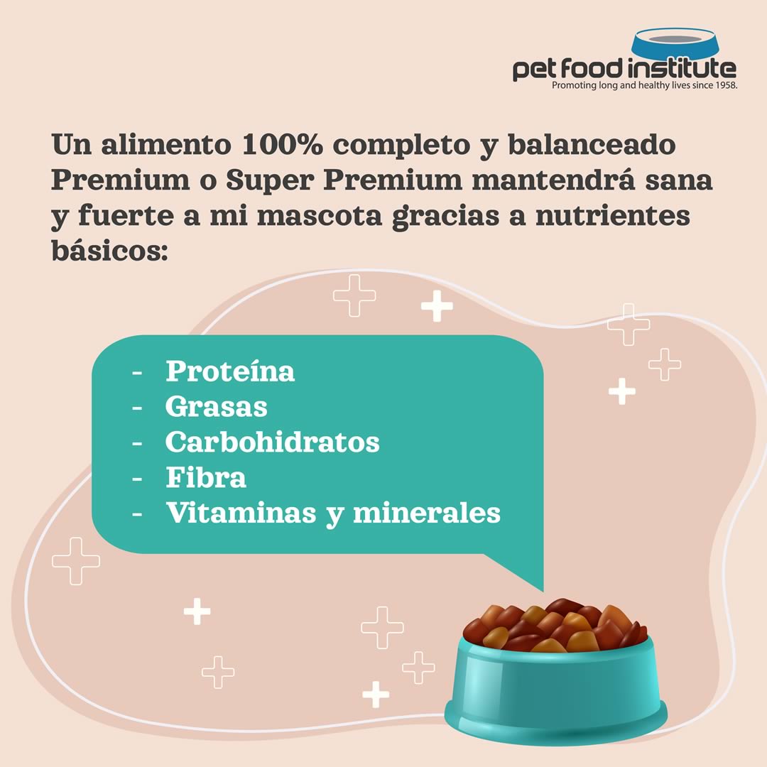 Un alimento para reforzar las defensas de mi mascota