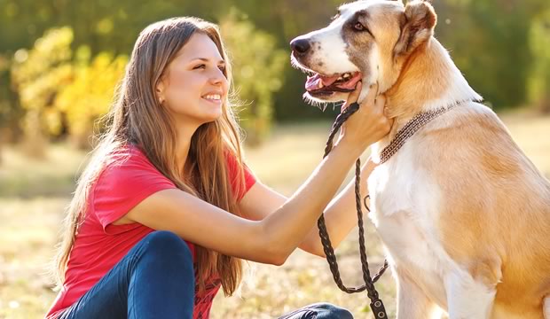 Caminar 30 minutos al día beneficia a tu perro, pero es vital acompañarlo con vacunación y prevención contra parásitos