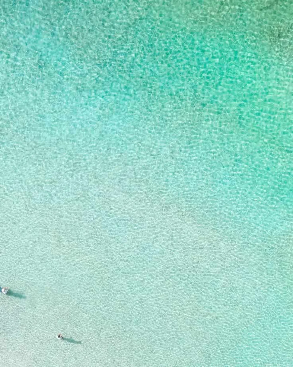 Las Out Islands de Las Bahamas: 16 islas donde el verdadero lujo es vivir en contacto con la naturaleza