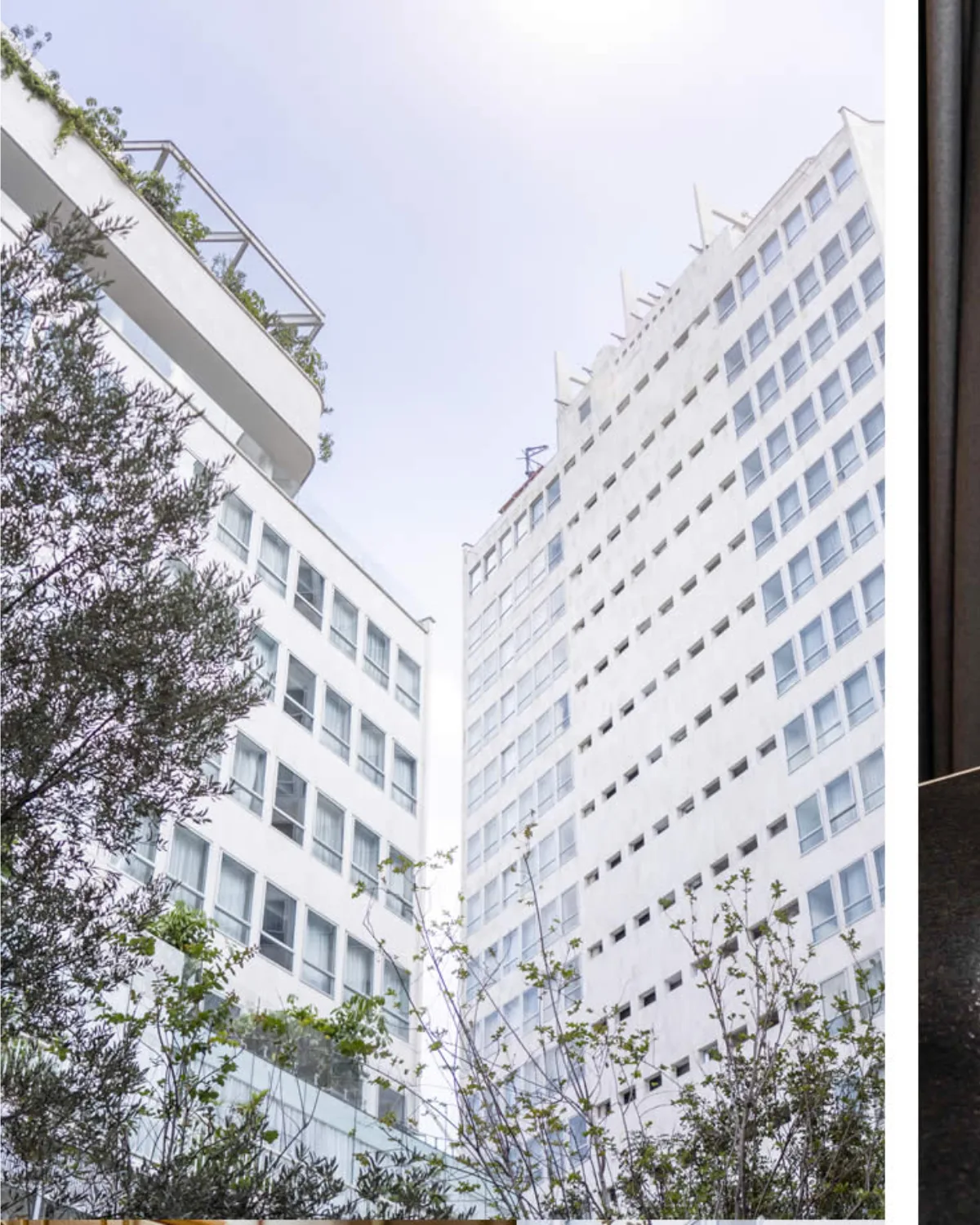Mondrian Mexico City Condesa amplía su propuesta de ‘Meetings & Events’ con el lanzamiento de Benlliure