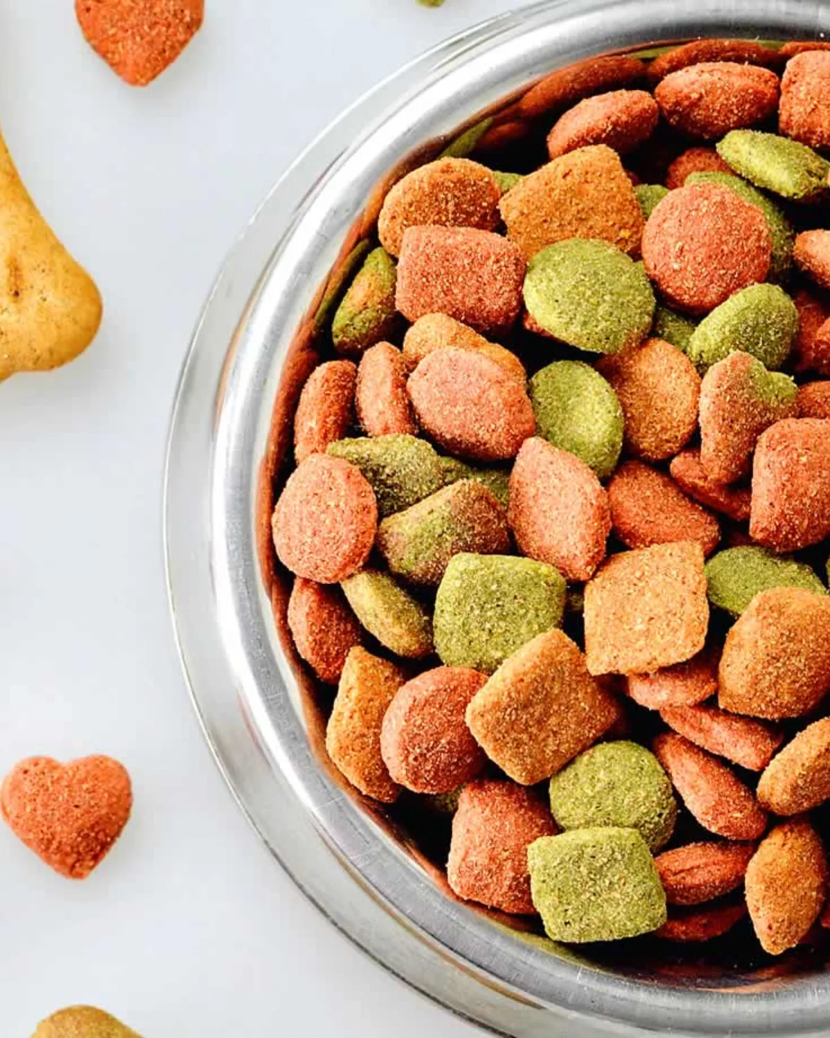 Nutrición básica para perros y gatos