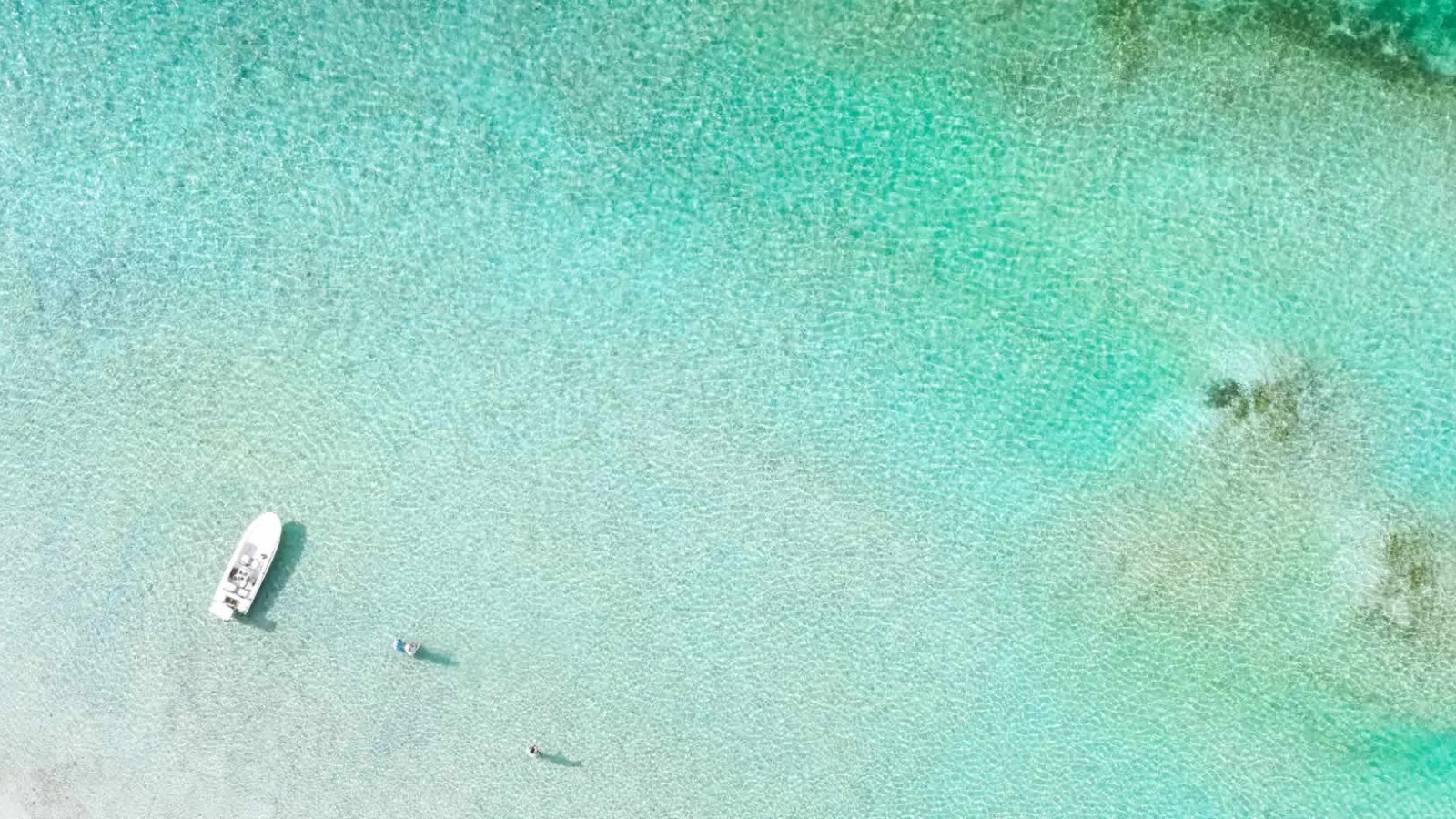 Las Out Islands de Las Bahamas: 16 islas donde el verdadero lujo es vivir en contacto con la naturaleza