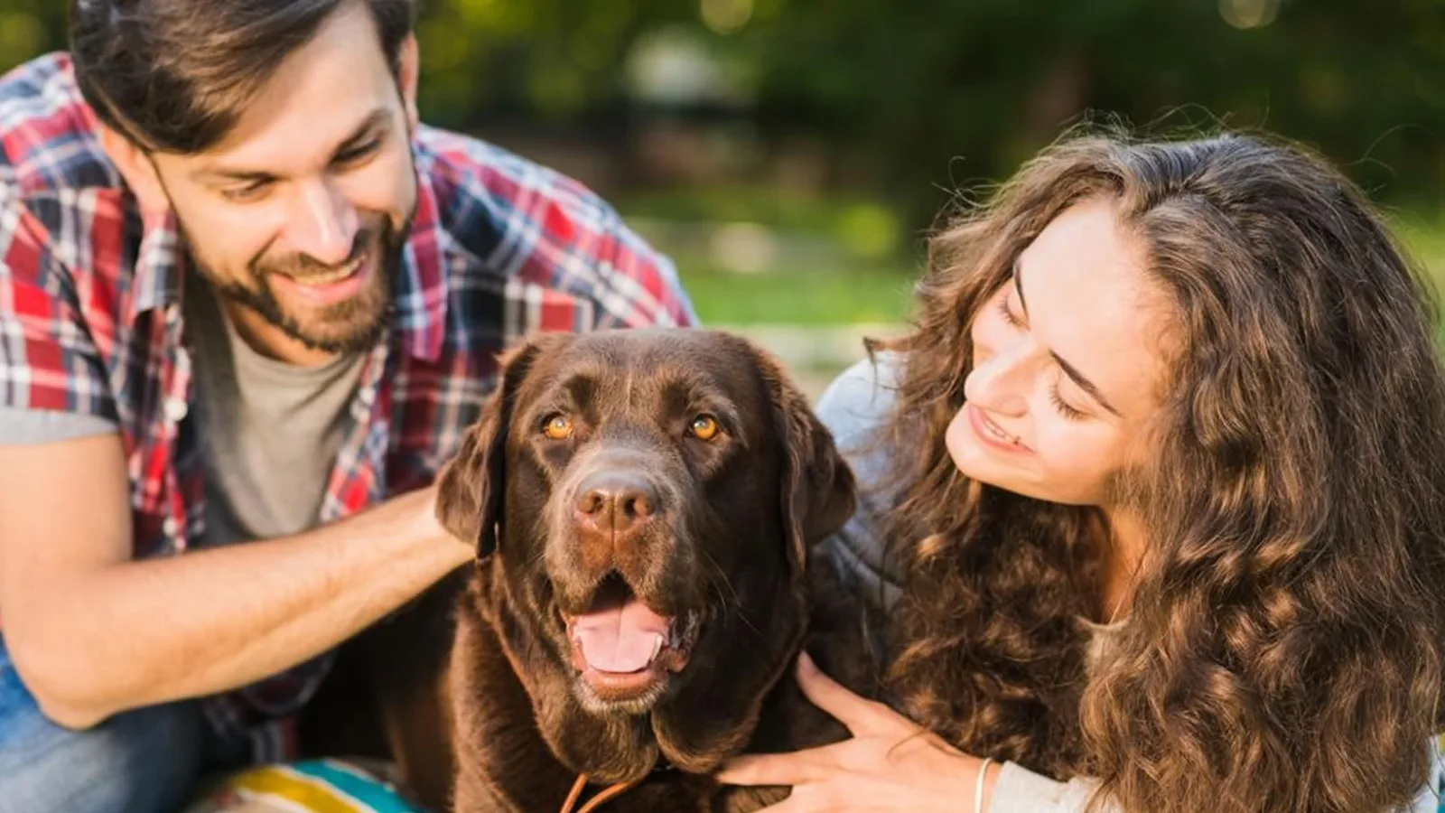 Expertos internacionales actualizan recomendaciones de vacunación para perros y gatos: las vacunas esenciales pueden brindar protección de hasta tres años