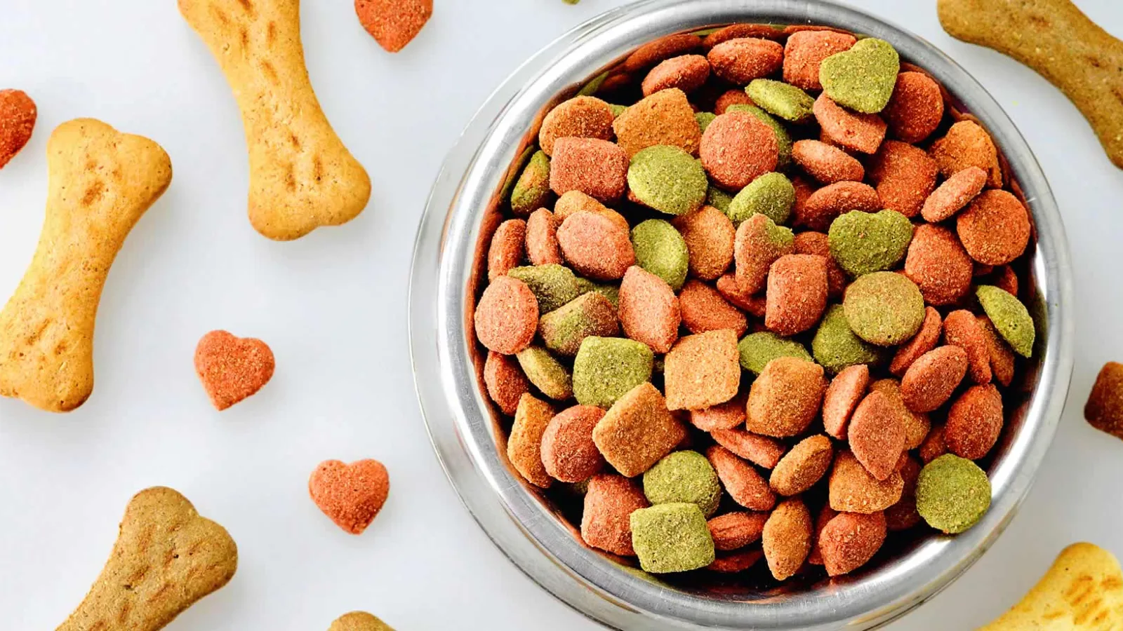 Nutrición básica para perros y gatos