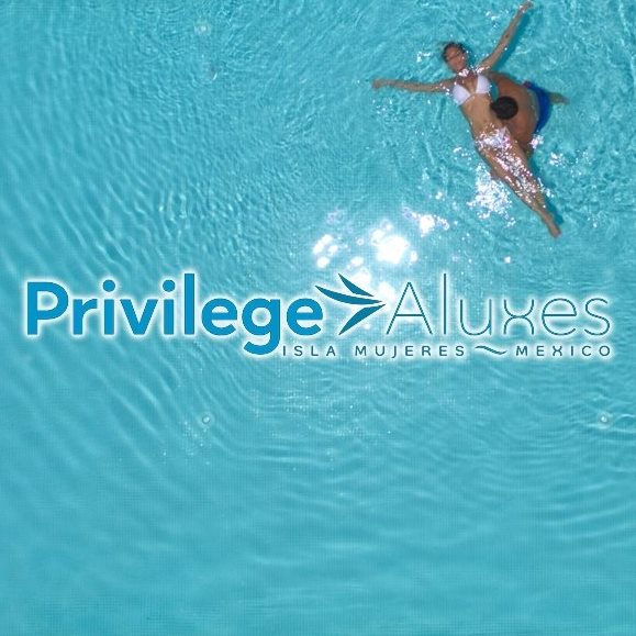 Privilege-Aluxes