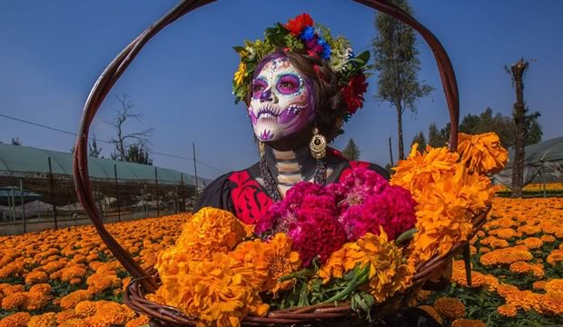 la-importancia-de-dejar-un-legado-positivo-a-seres-queridos-y-les-ofrezca-tranquilidad-cuando-ya-no-estemos