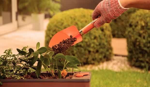 cultivar-en-el-jardin-de-la-casa-es-posible-y-terapeutico-y-aqui-te-decimos-que-herramientas-necesitas