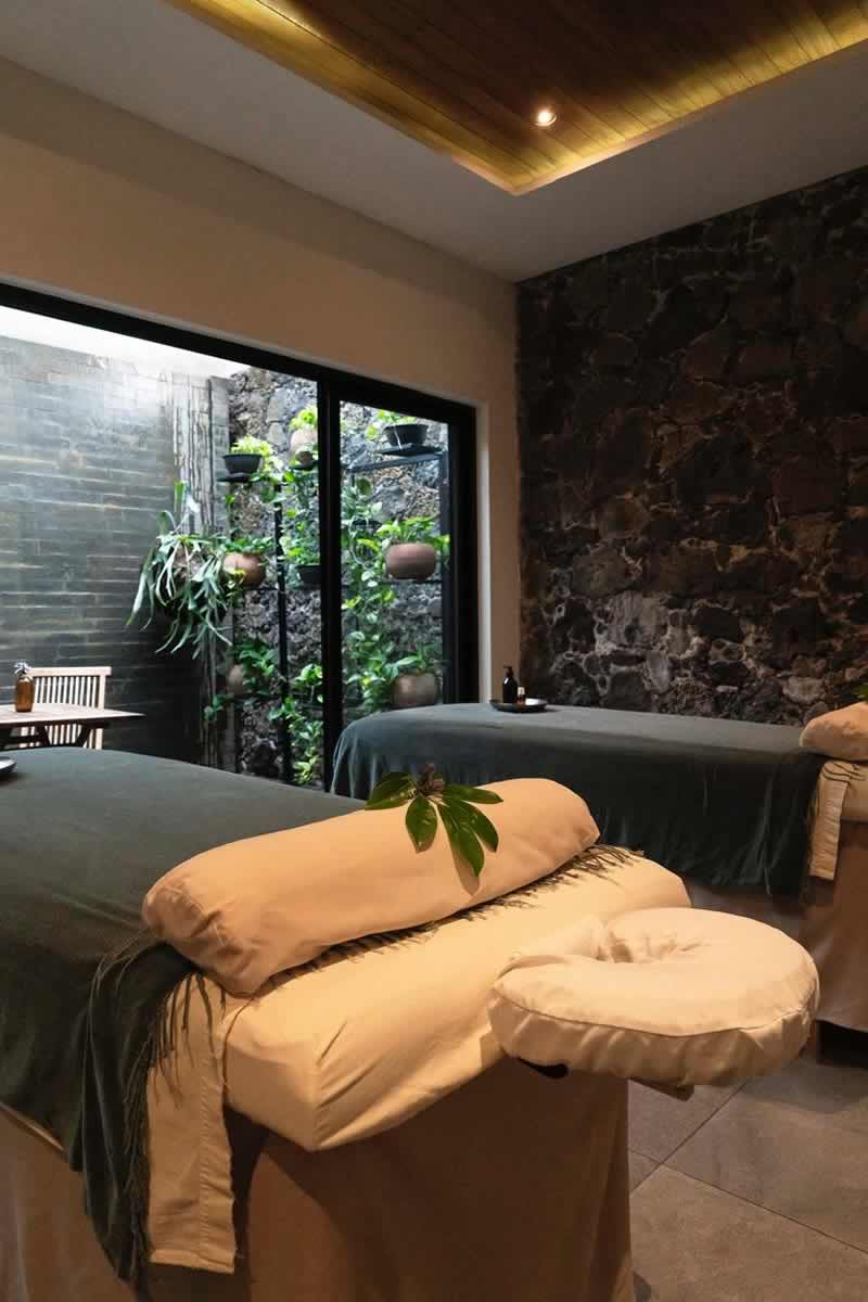 programa-wellness-en-casa-fernanda-rituales-para-volver-a-mirarse