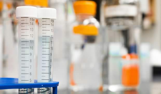 nutricion-ovulatoria-conoce-los-alimentos-que-te-ayudaran-a-mejorar-la-calidad-de-tus-ovulos