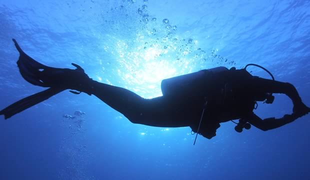 bienestar-junto-al-mar-spas-y-retiros-en-la-paz-baja-california-sur