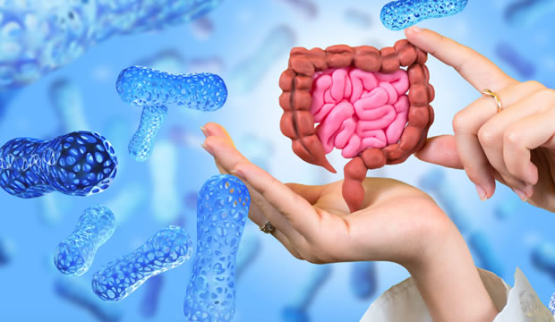 cinco-practicas-clave-para-proteger-la-salud-intestinal-e-integral-en-esta-epoca-del-ano